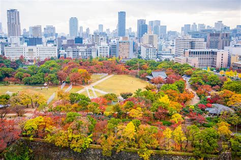 일본 오사카성 둘러보기 관람 티켓 및 관광 관련 이모저모>일본